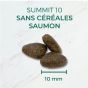 Summit 10 Grain Free - Croquettes Chiens Adultes Sans Cã‰Rã‰Ales - Soin De La Peau - Saumon Frais - 12 Kg