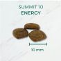 Summit 10 Life Stages - Croquettes Chiens Adultes Energy - Poulet & Riz - 15 Kg