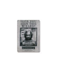 Harry Potter - Panneau Métal Have You Seen This Wizard 15 X 21 Cm