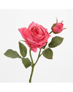Tige De Rose Luna Artificielle 36 Cm Fuchsia
