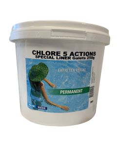 Chlore Lent 5 Actions Galet 