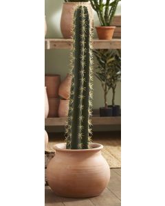 Cactus Cierge En Pot 104 Cm