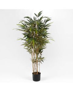 Bambou 150 Cm