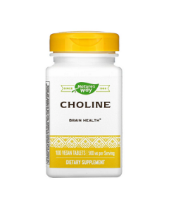 Nature'S Way - Choline 500 Mg, Bitartrate, 100 Tablettes