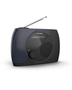 Radio Fm Portable - Rt350 - Bleue Et Noire