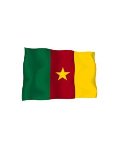 Akachafactory Sticker Autocollant Drapeau Exterieur Vinyle Voiture Moto Cameroune Camerounais