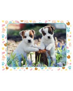 Puzzle 100 P - Les Petits Jack Russell