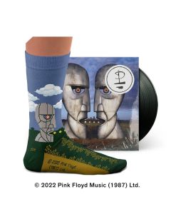 Chaussettes The Division Bell, Pink Floyd
