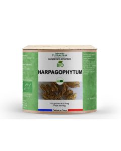 Harpagophytum Bio 120 Gélules