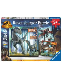 Puzzles T-Rex Et Autres Dinosaures 3X49 Pieces