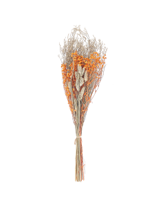 Bouquet De Fleurs Séchées 65 Cm Orange Cercedilla