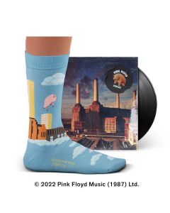 Chaussettes Animals, Pink Floyd